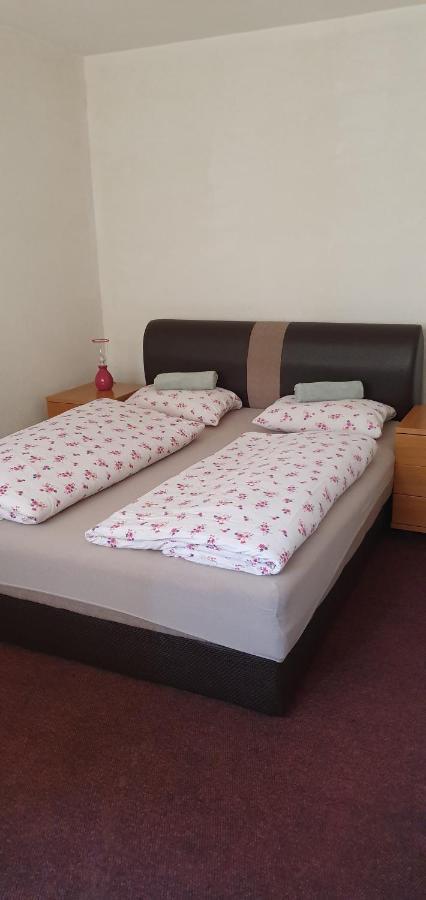 Hostel T&M 泽尼察 外观 照片
